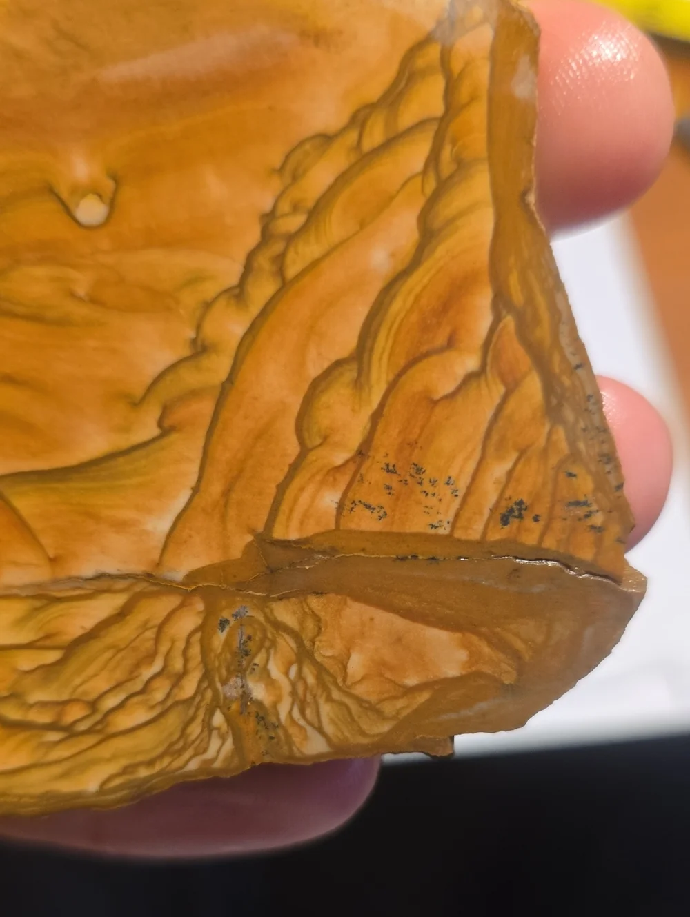 Old Stock Biggs Oregon Picture jasper Slab 147.49g